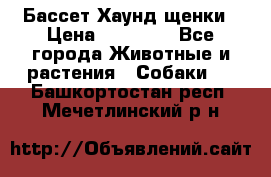 Бассет Хаунд щенки › Цена ­ 20 000 - Все города Животные и растения » Собаки   . Башкортостан респ.,Мечетлинский р-н